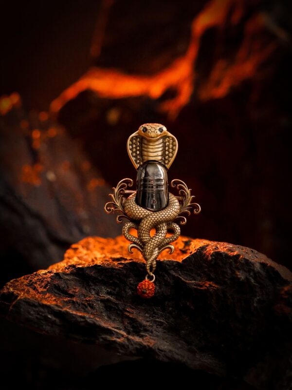 Mahadev Naga Aura Brooch