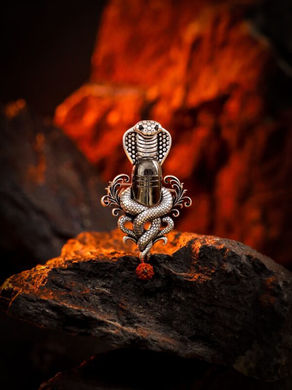 Serpent Shiva Emblem Brooch